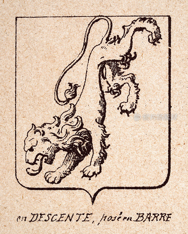 古老的插图，盾形纹章，或纹章盾牌，狮子猖獗地向下指向，en下降，姿势en Barre，纹章